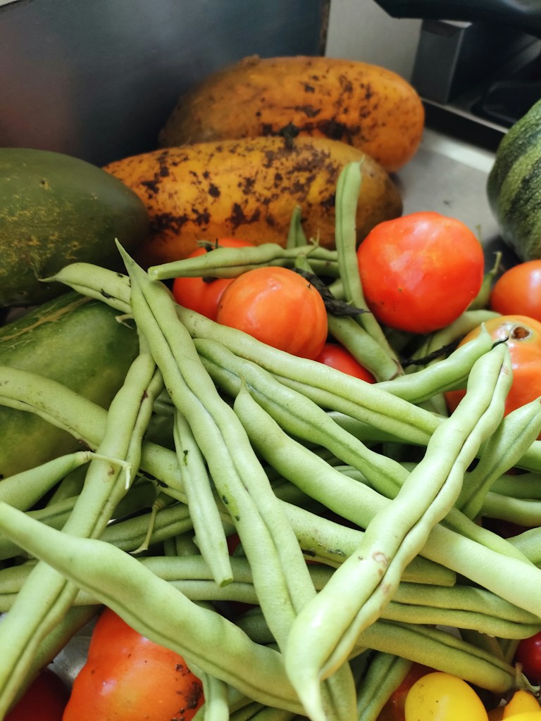 Verduras Frescas
