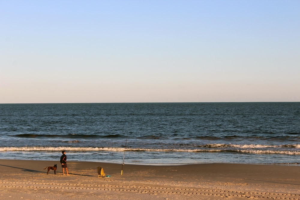 Eine Person, die mit einem Hund an einem Strand am Meer spazieren geht