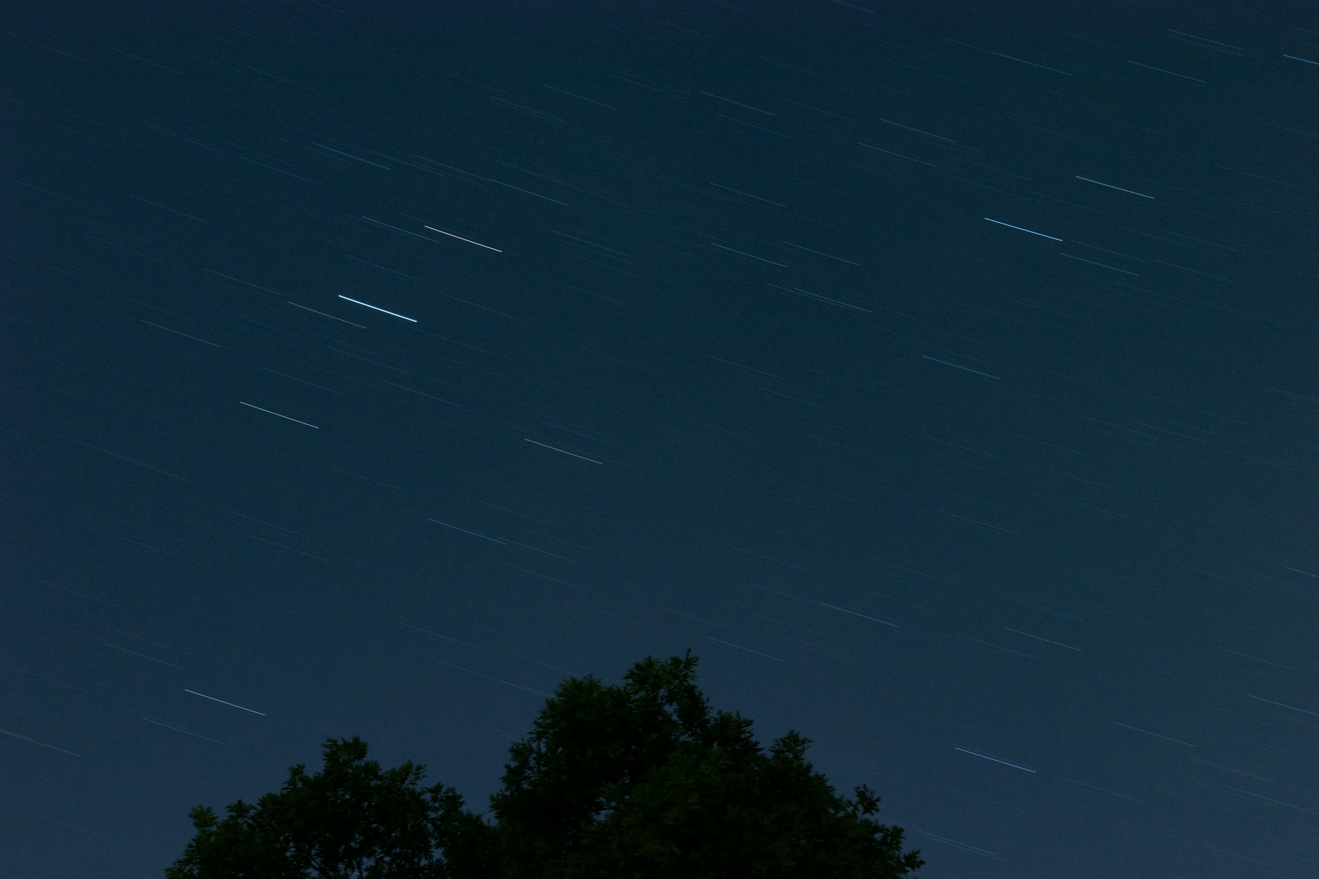 the night sky with stars and trees in the foreground