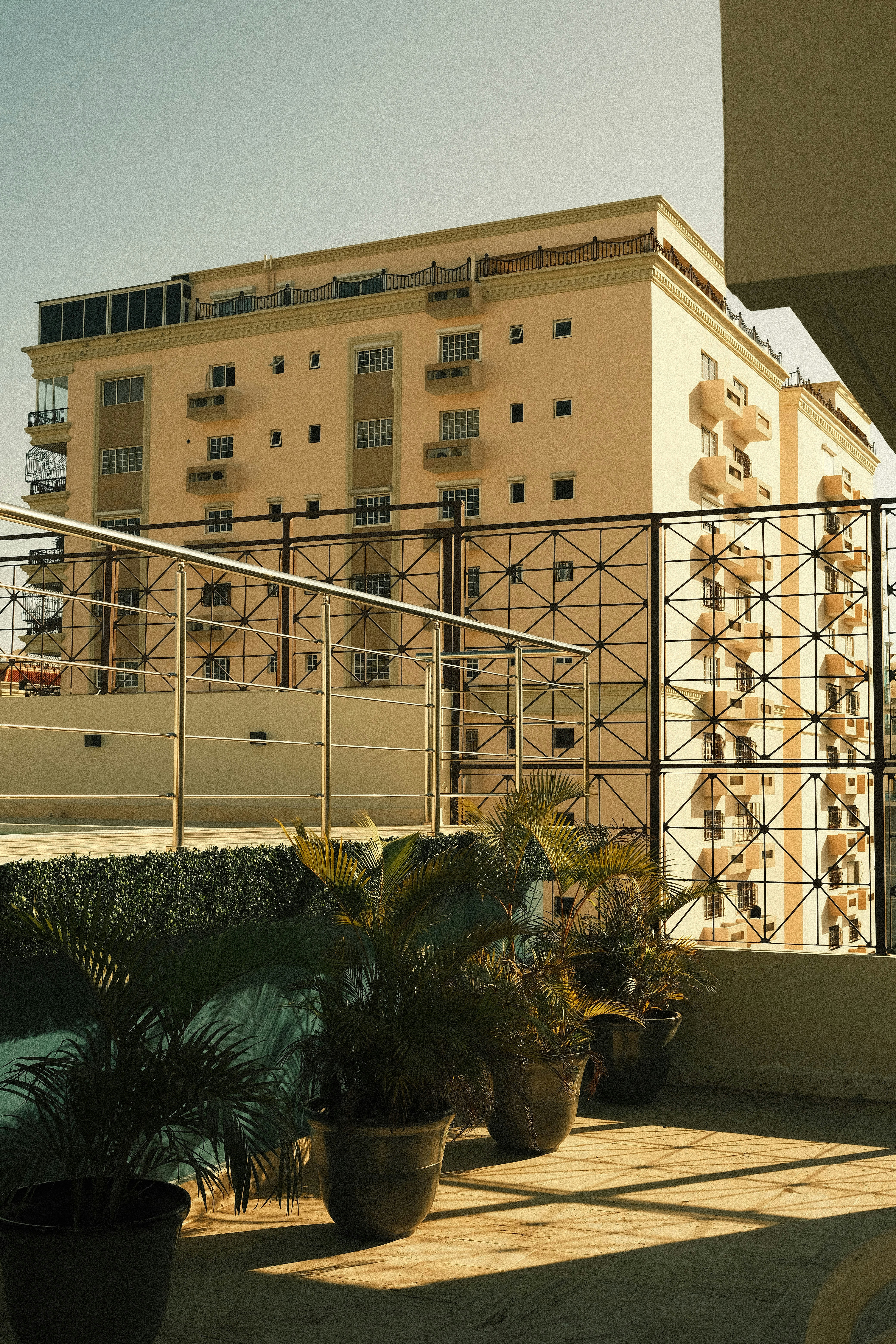 Photo by luisperezphoto