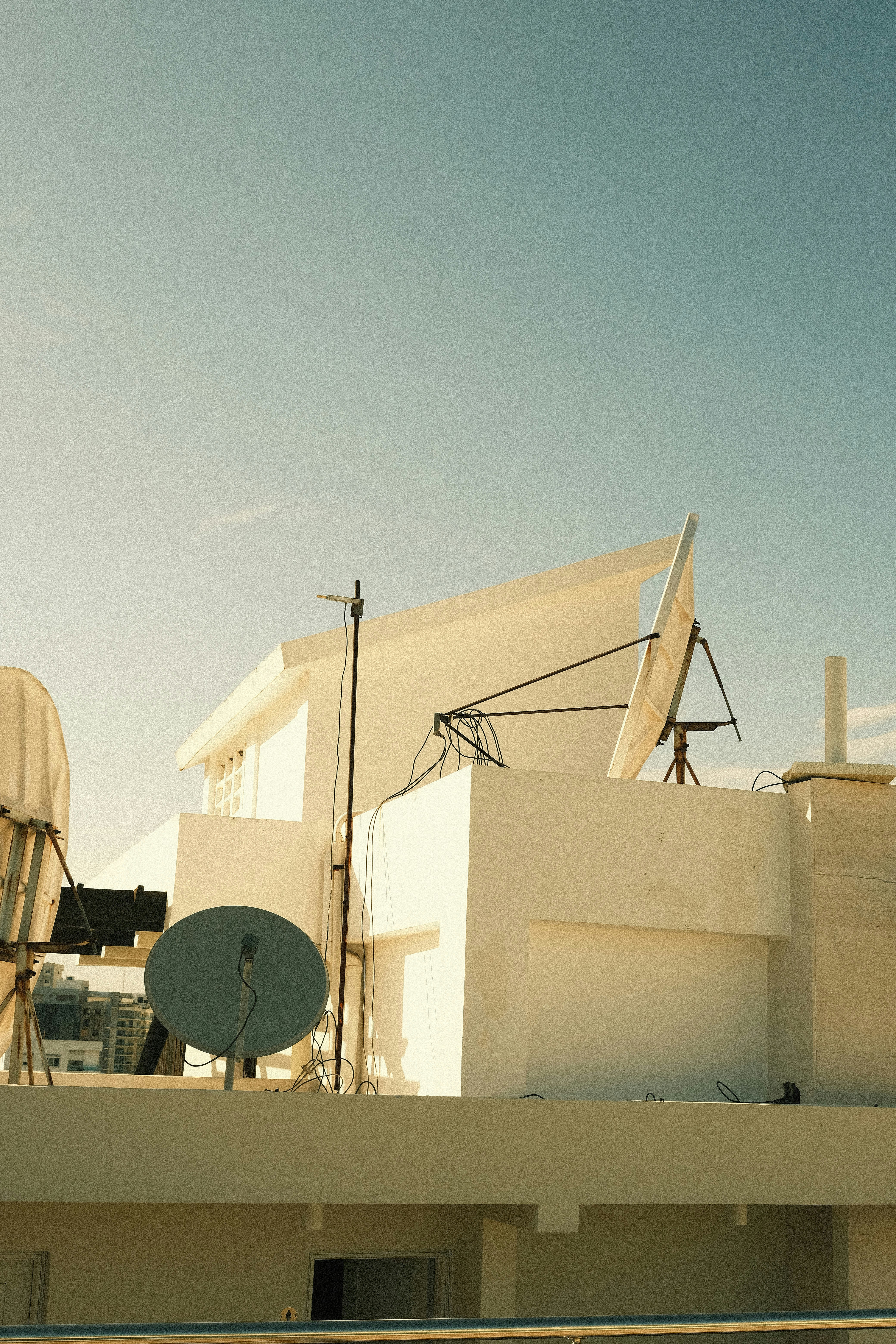 Photo by luisperezphoto