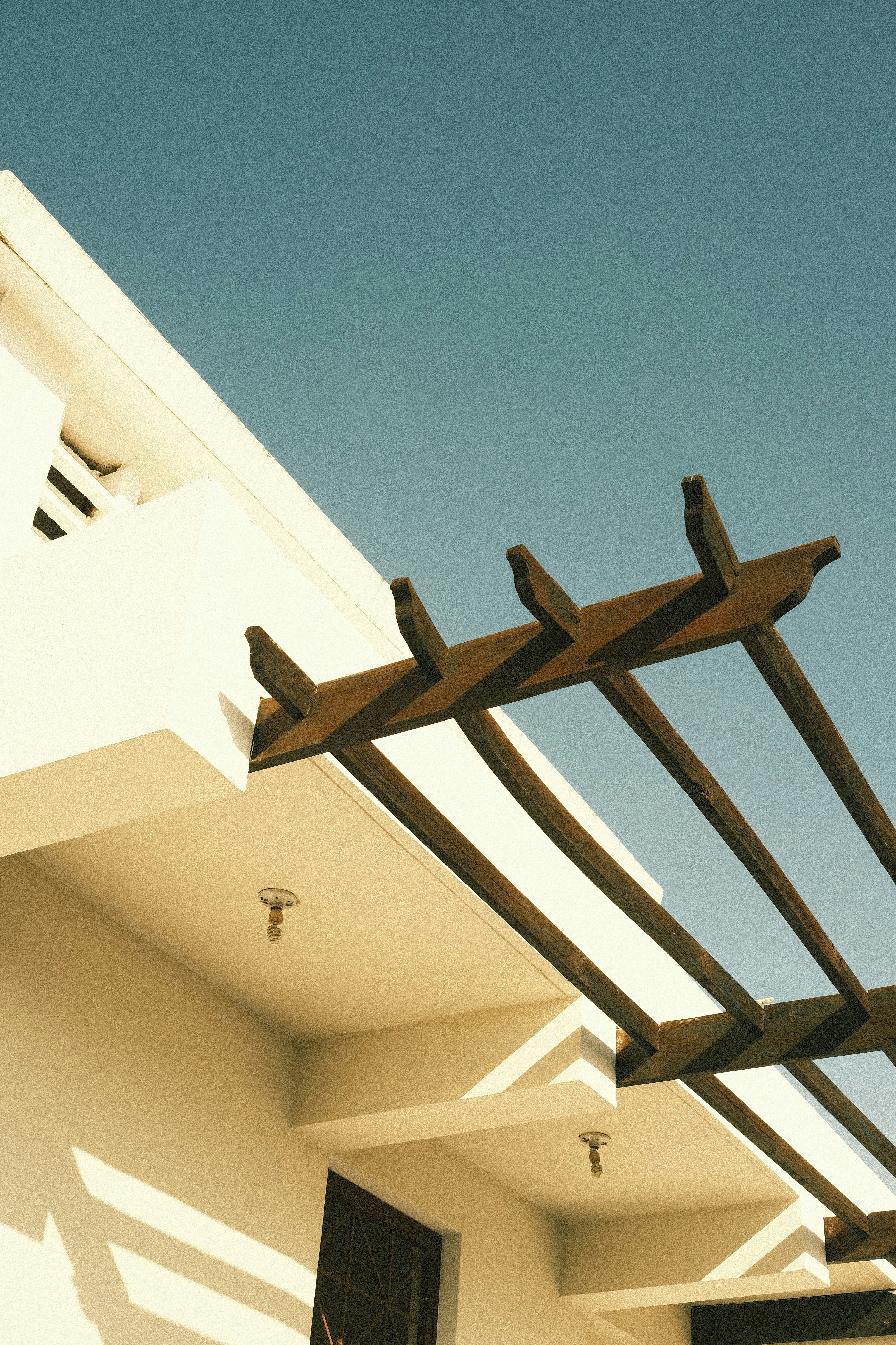 Photo by luisperezphoto