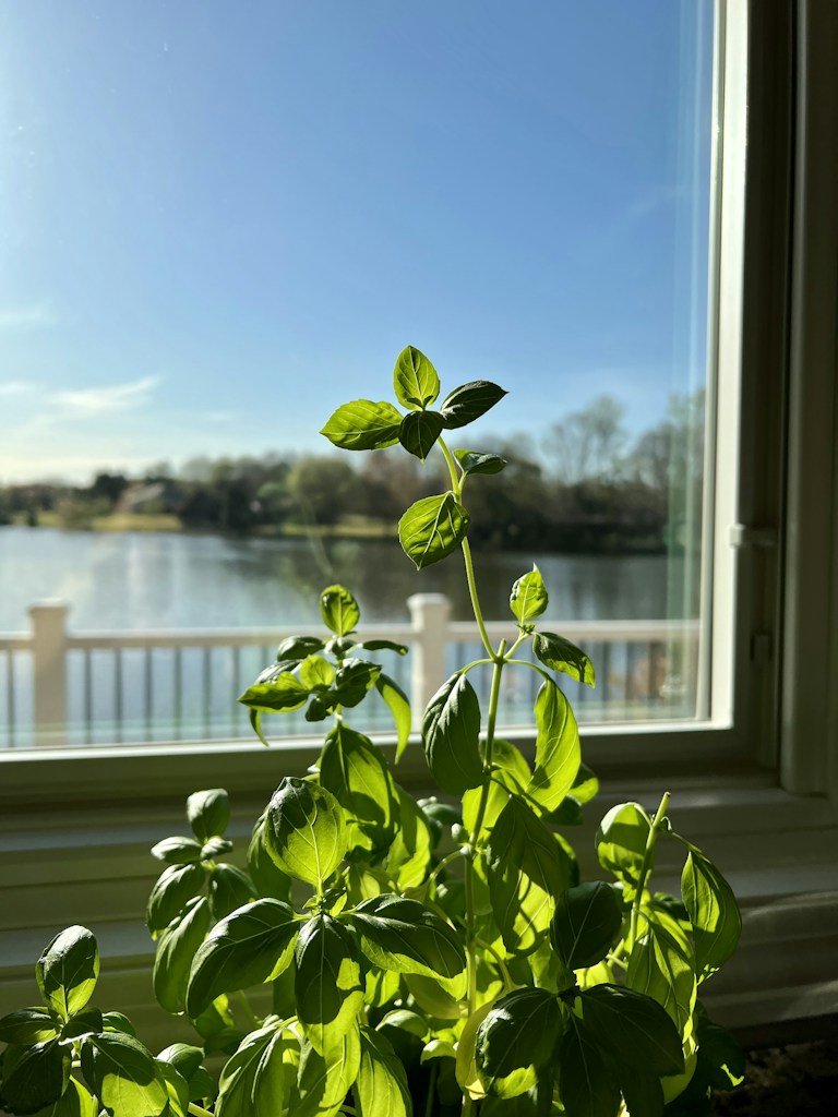 Balanced Plant Nutrition