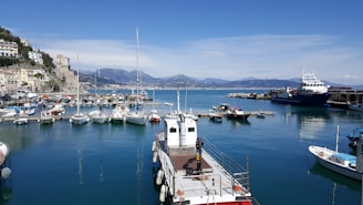 A picturesque marina with several boats docked at piers extending into calm blue waters. To the left, a quaint coastal town with pastel-colored buildings built on a hillside overlooks the harbor. The coastline and distant mountains provide a scenic backdrop under a clear blue sky.