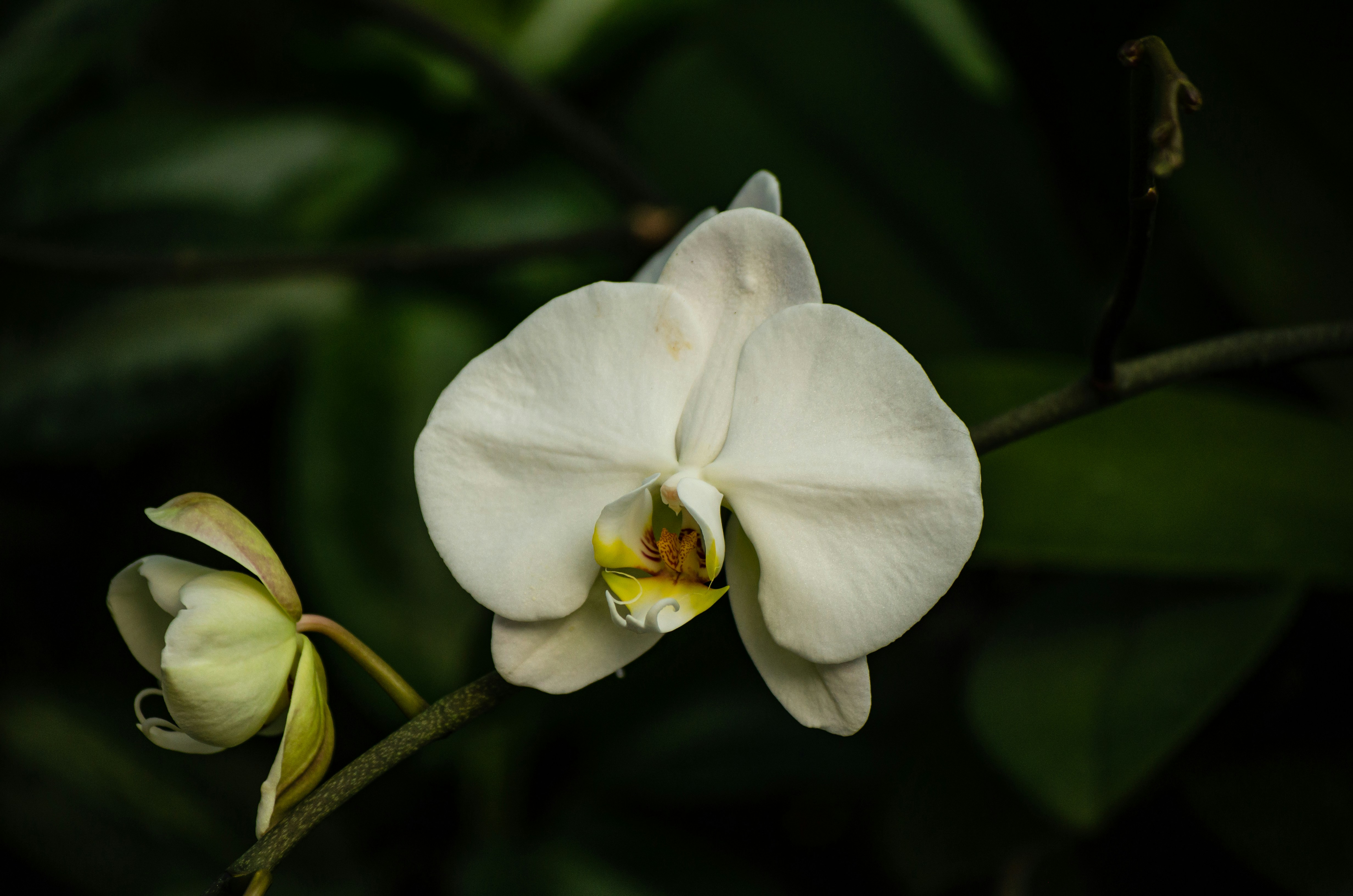 Photo by codywestphoto