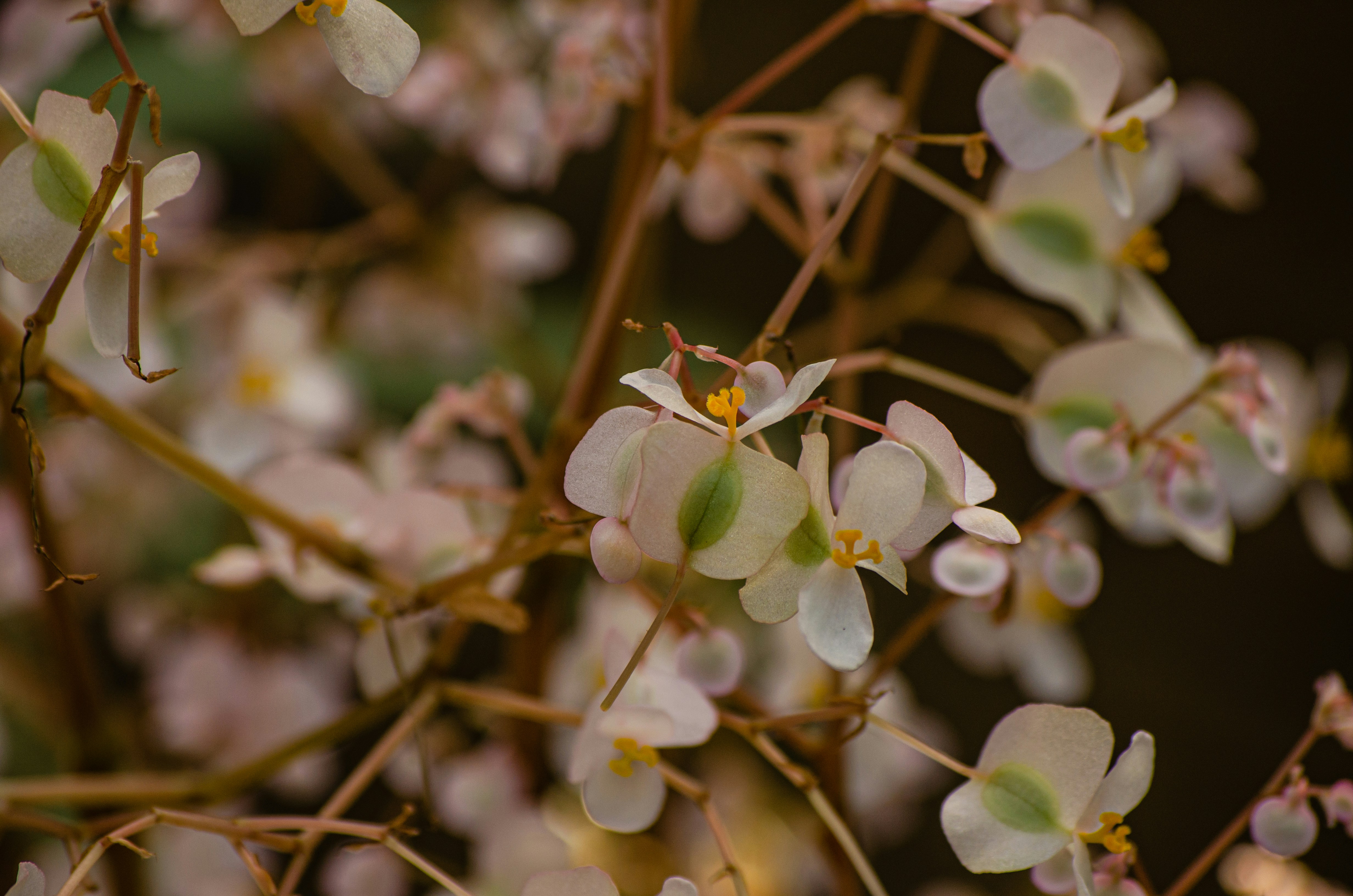 Photo by codywestphoto