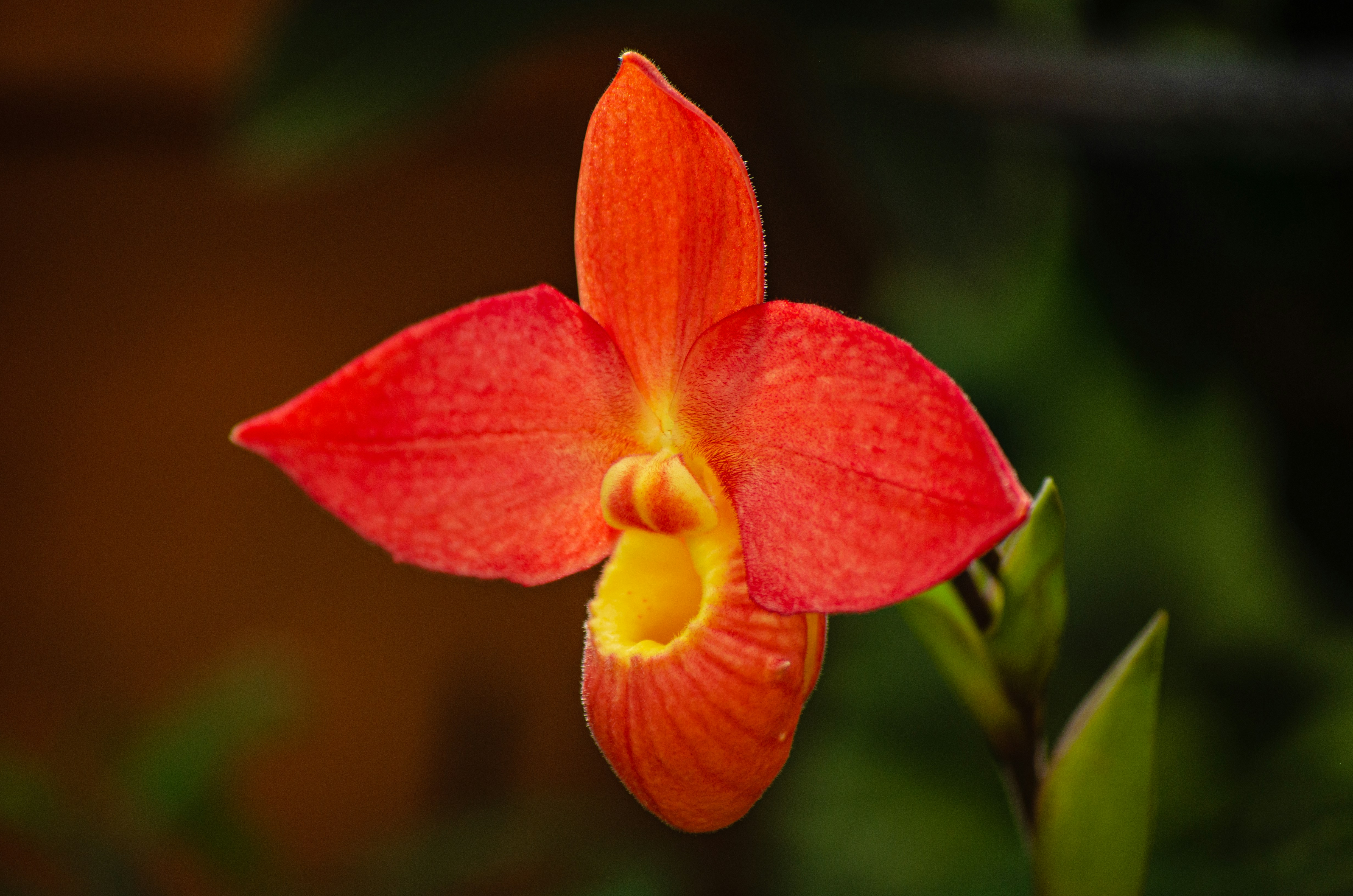 Photo by codywestphoto