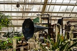 A greenhouse interior is filled with various plants and industrial equipment, including a large blue metal structure resembling a horn. Pipes and mechanical components are integrated with greenery, blending technology with nature. Sunlight filters through the glass ceiling, casting shadows over lush foliage and hanging mosses.
