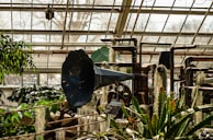 A greenhouse interior is filled with various plants and industrial equipment, including a large blue metal structure resembling a horn. Pipes and mechanical components are integrated with greenery, blending technology with nature. Sunlight filters through the glass ceiling, casting shadows over lush foliage and hanging mosses.