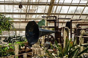 A greenhouse interior is filled with various plants and industrial equipment, including a large blue metal structure resembling a horn. Pipes and mechanical components are integrated with greenery, blending technology with nature. Sunlight filters through the glass ceiling, casting shadows over lush foliage and hanging mosses.