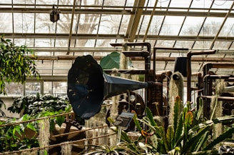 A greenhouse interior is filled with various plants and industrial equipment, including a large blue metal structure resembling a horn. Pipes and mechanical components are integrated with greenery, blending technology with nature. Sunlight filters through the glass ceiling, casting shadows over lush foliage and hanging mosses.