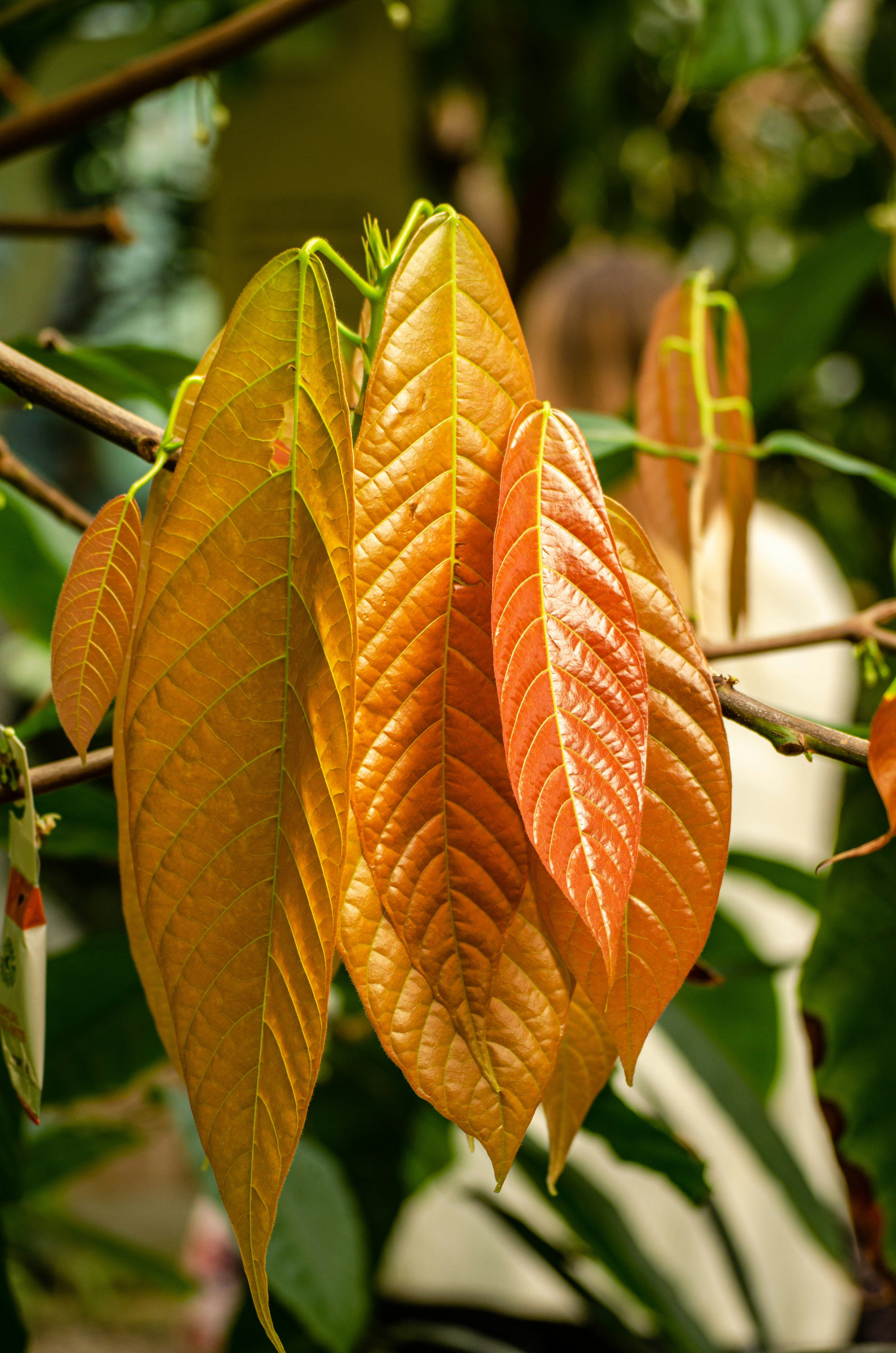 Photo by codywestphoto