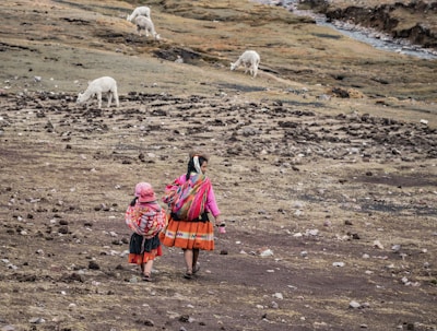 Two people wearing colorful traditional clothing walk across a rocky, grassy landscape. In the background, several alpacas graze. The scene suggests a rural, mountainous region.