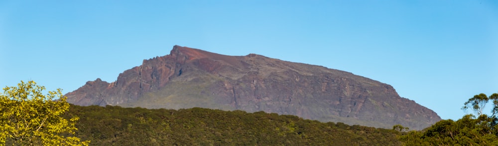 a large mountain towering over a forest filled with trees