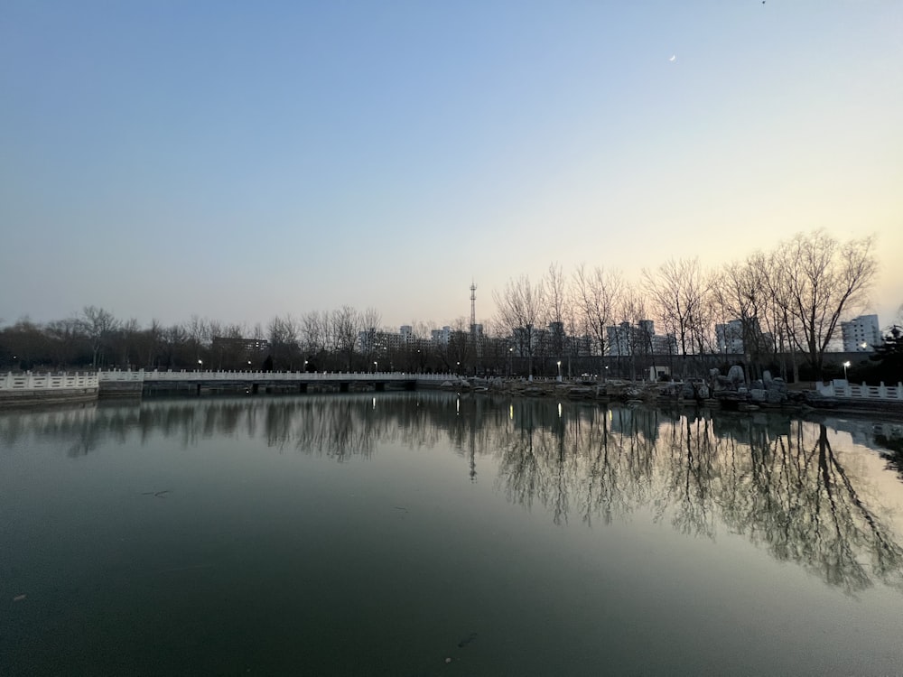 a body of water surrounded by trees and buildings