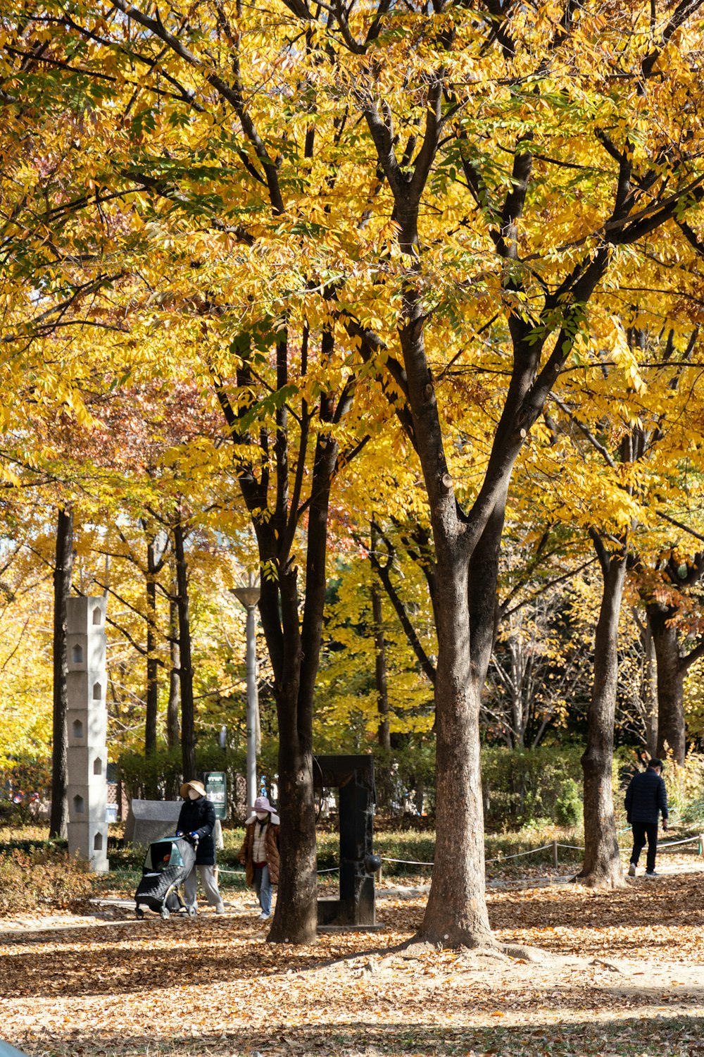 a group of people walking through a park in the fall