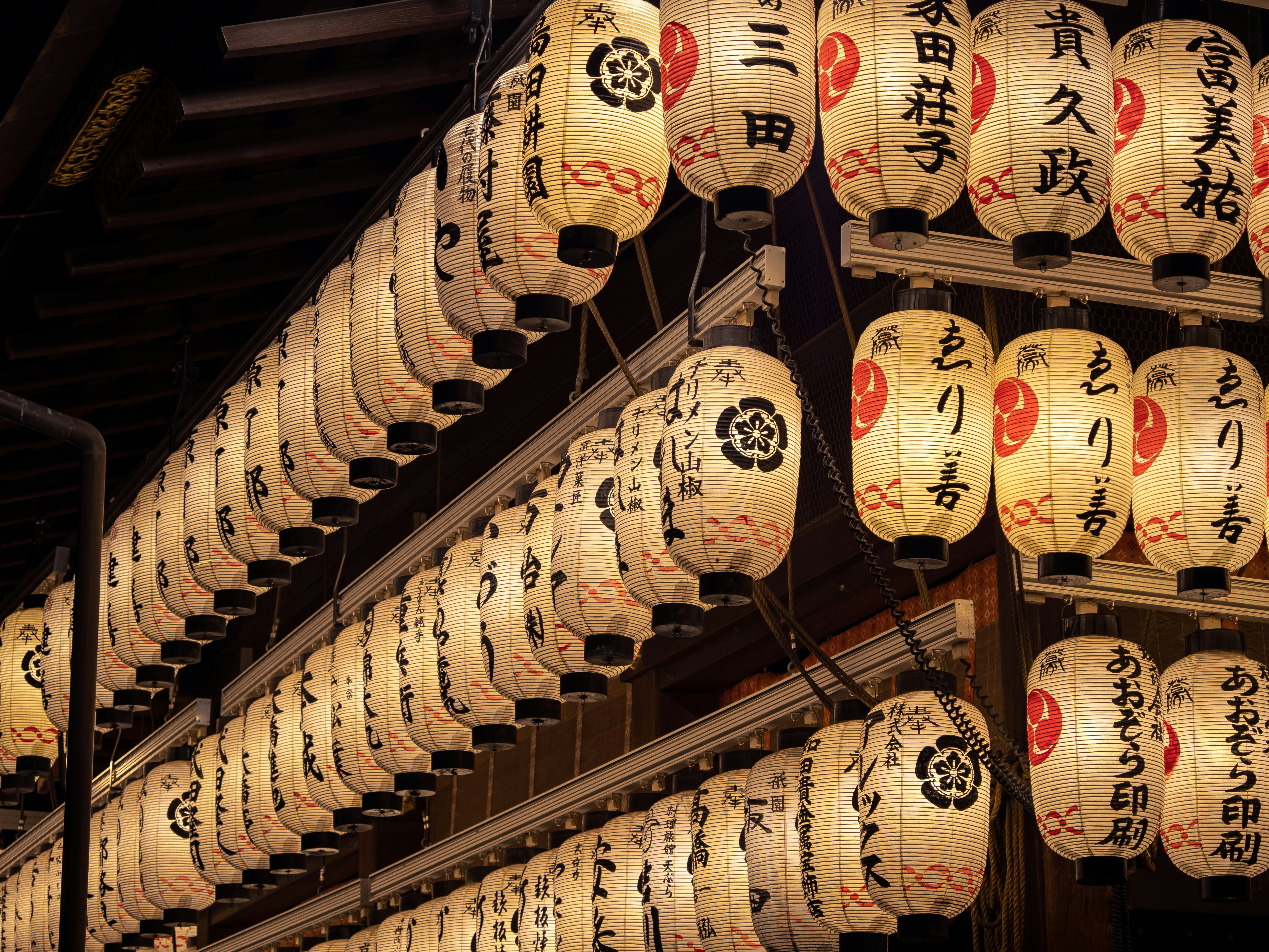 Photo by shellingfordyu