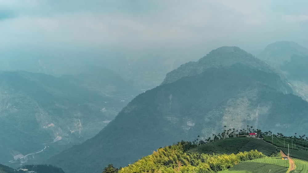 a scenic view of a mountain range with trees