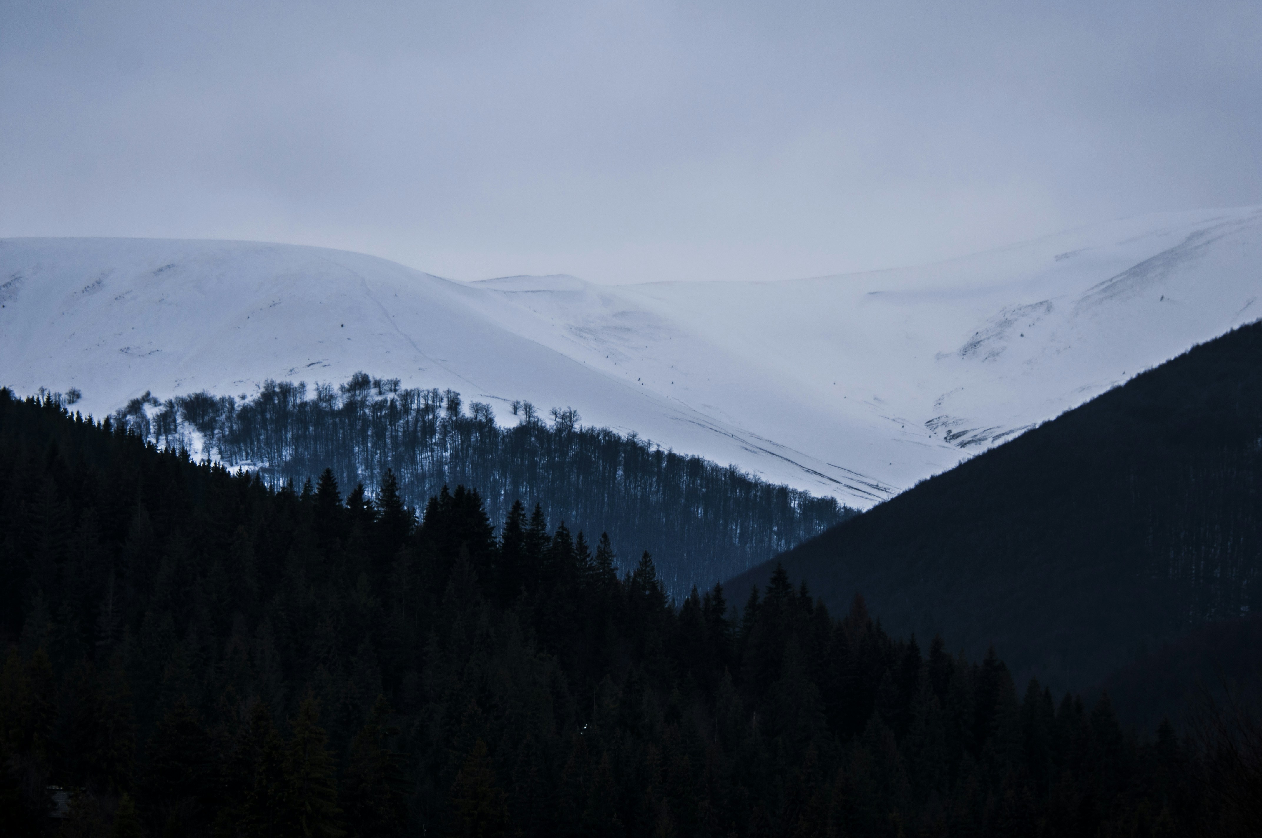 Photo by timesnewroman14