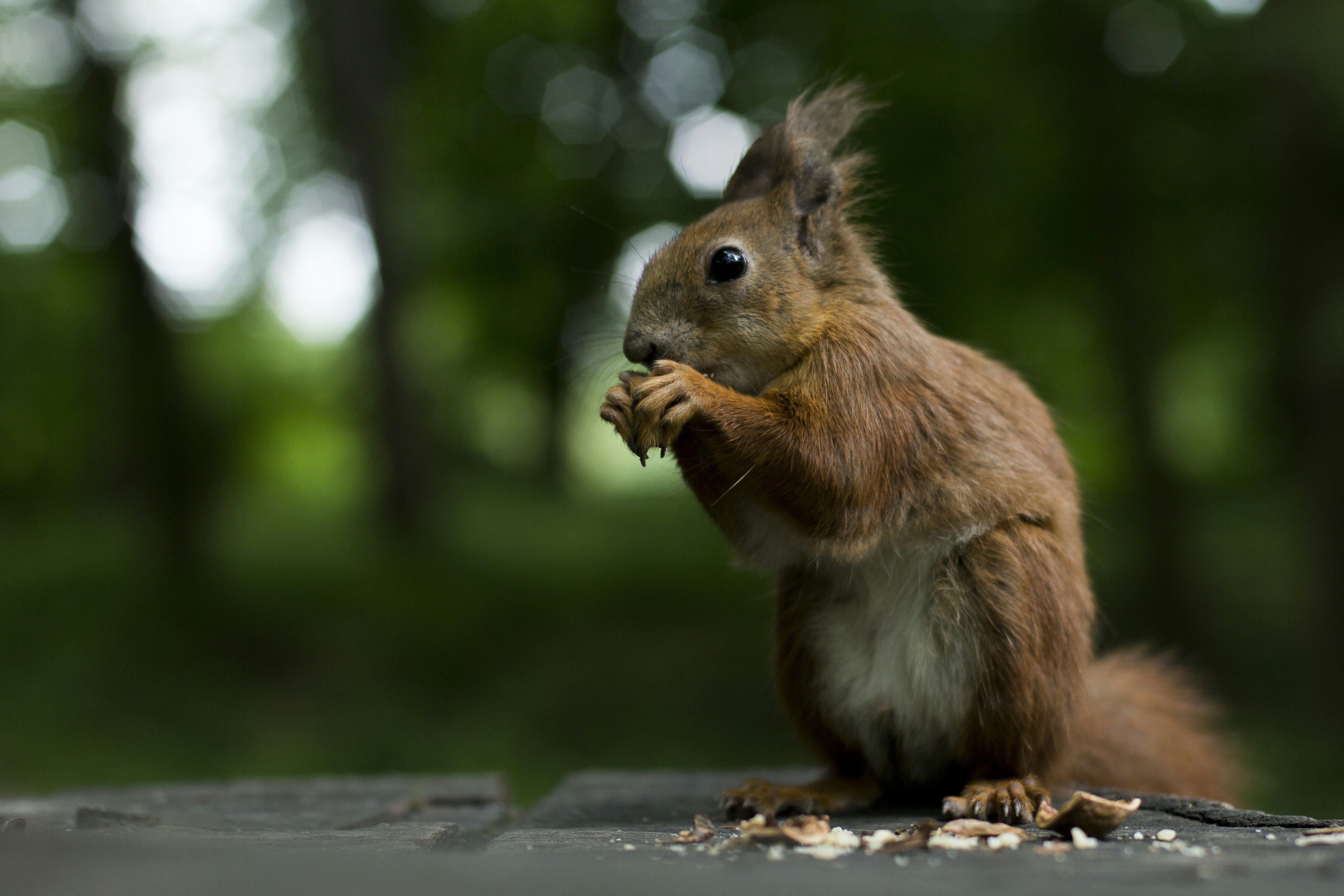 Photo by timesnewroman14