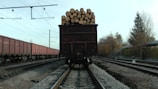 A loaded freight train car is seen on tracks, filled with cut logs stacked neatly at the back. To the left, a line of red cargo train cars is visible. The setting is an industrial railway area with overhead power lines and tracks extending into the distance. Autumn trees line the tracks, suggesting a late season setting.