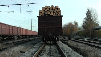 A loaded freight train car is seen on tracks, filled with cut logs stacked neatly at the back. To the left, a line of red cargo train cars is visible. The setting is an industrial railway area with overhead power lines and tracks extending into the distance. Autumn trees line the tracks, suggesting a late season setting.
