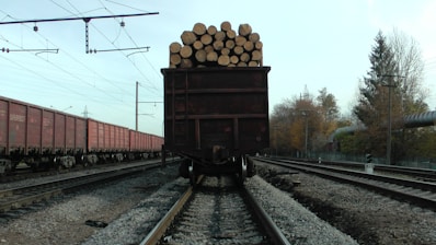 A loaded freight train car is seen on tracks, filled with cut logs stacked neatly at the back. To the left, a line of red cargo train cars is visible. The setting is an industrial railway area with overhead power lines and tracks extending into the distance. Autumn trees line the tracks, suggesting a late season setting.