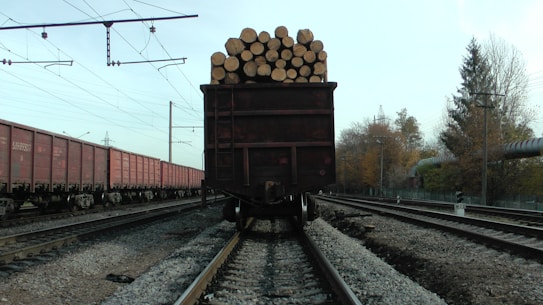 A loaded freight train car is seen on tracks, filled with cut logs stacked neatly at the back. To the left, a line of red cargo train cars is visible. The setting is an industrial railway area with overhead power lines and tracks extending into the distance. Autumn trees line the tracks, suggesting a late season setting.