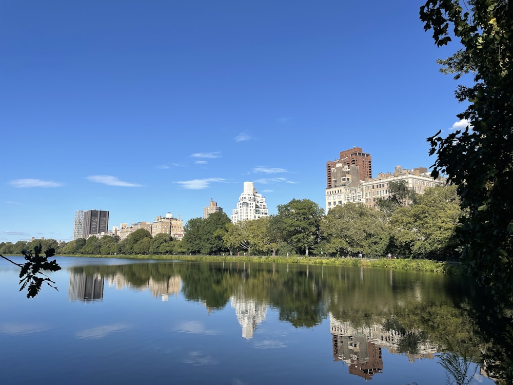 a body of water surrounded by trees and buildings