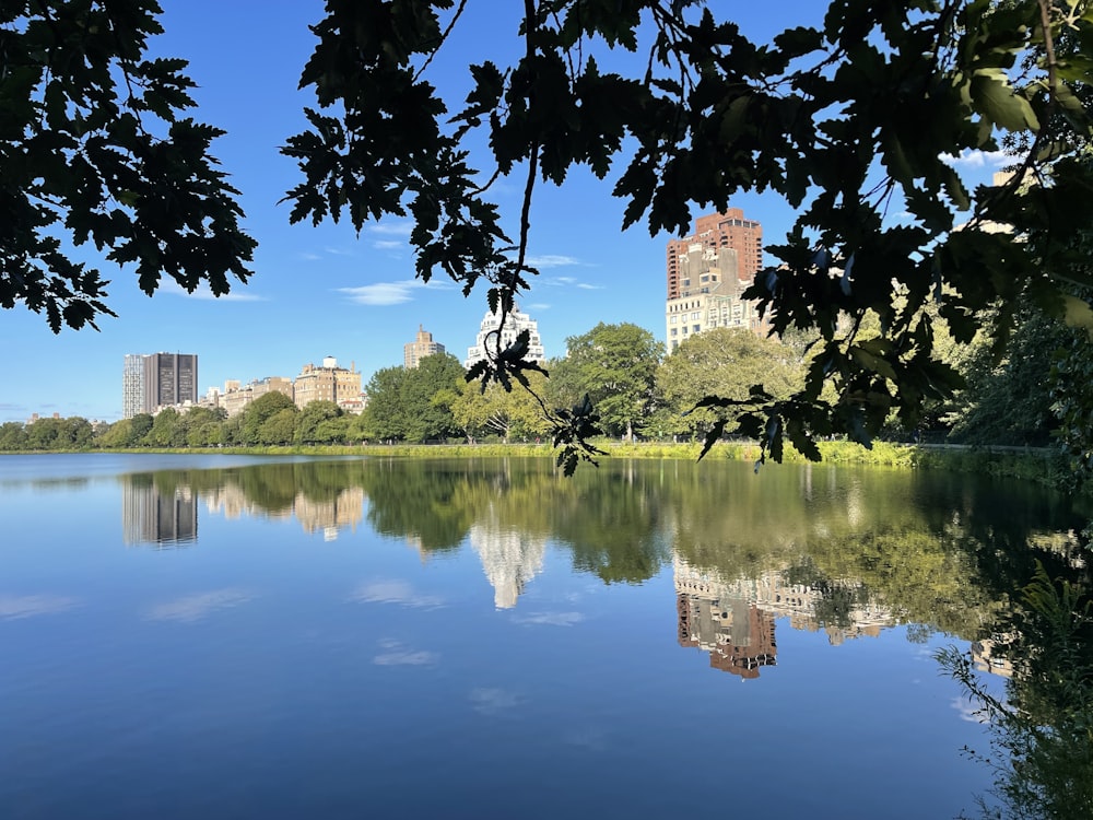 a large body of water surrounded by trees