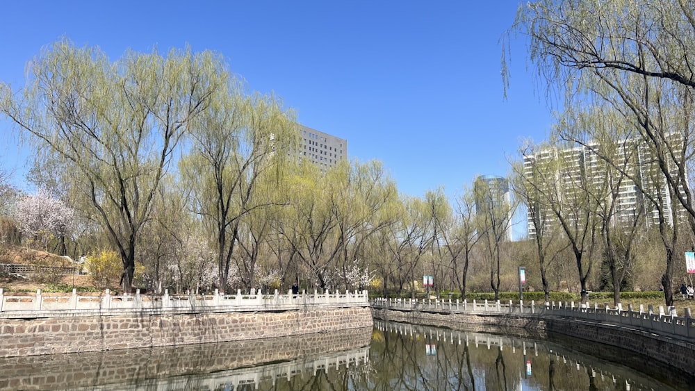 a body of water surrounded by trees and buildings