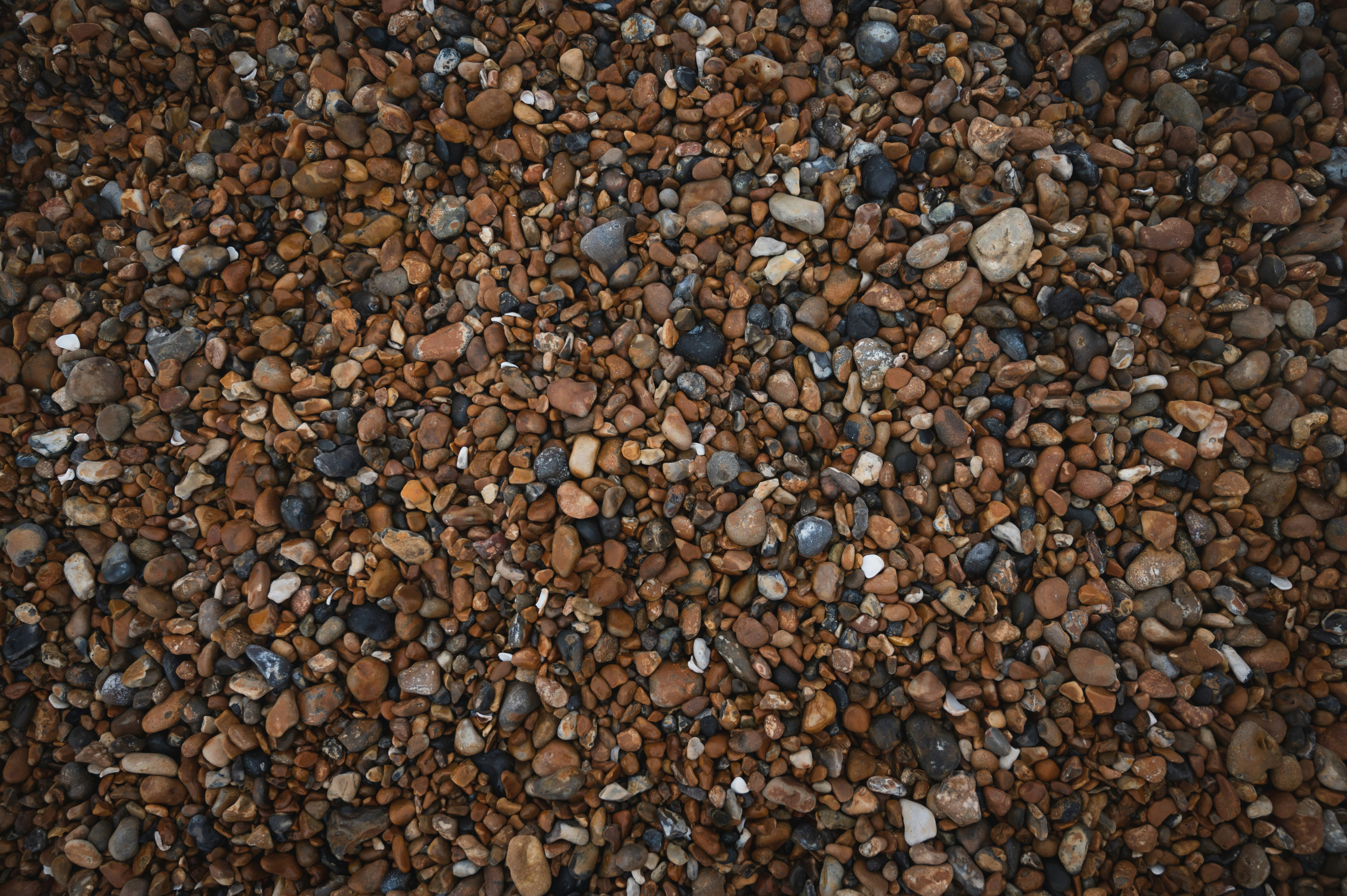 Photo by sandratansh