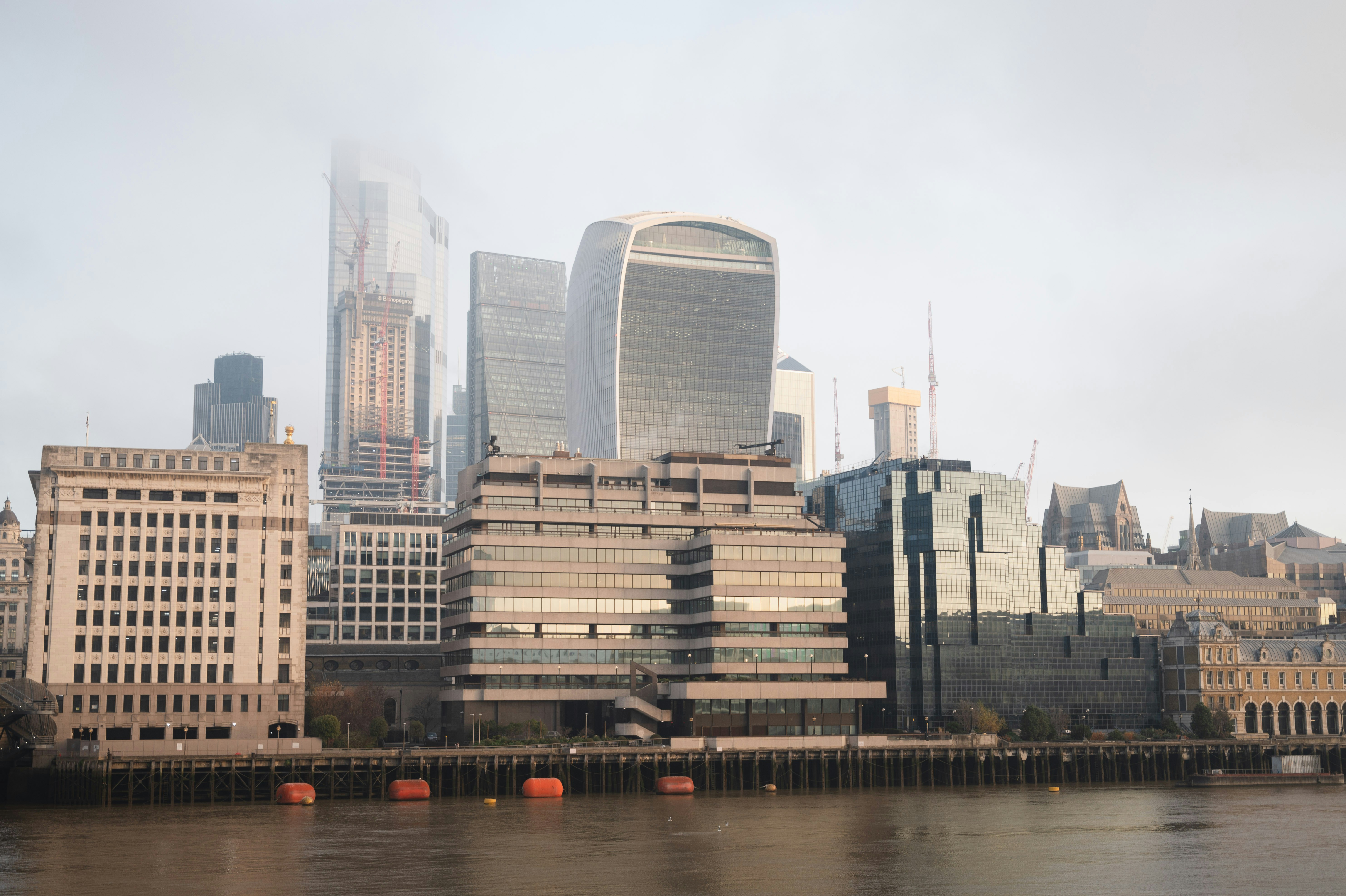 Photo by sandratansh