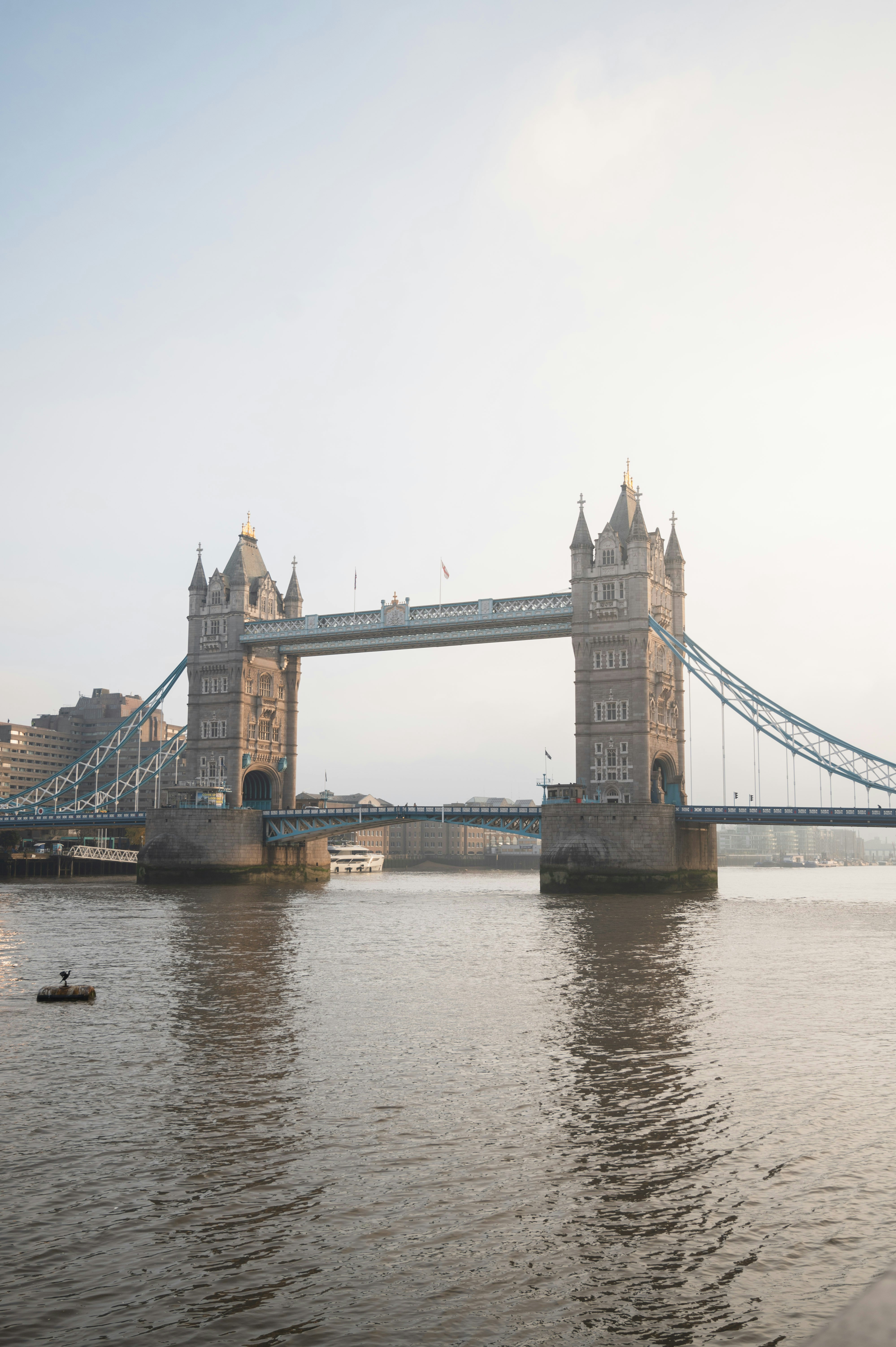 Photo by sandratansh