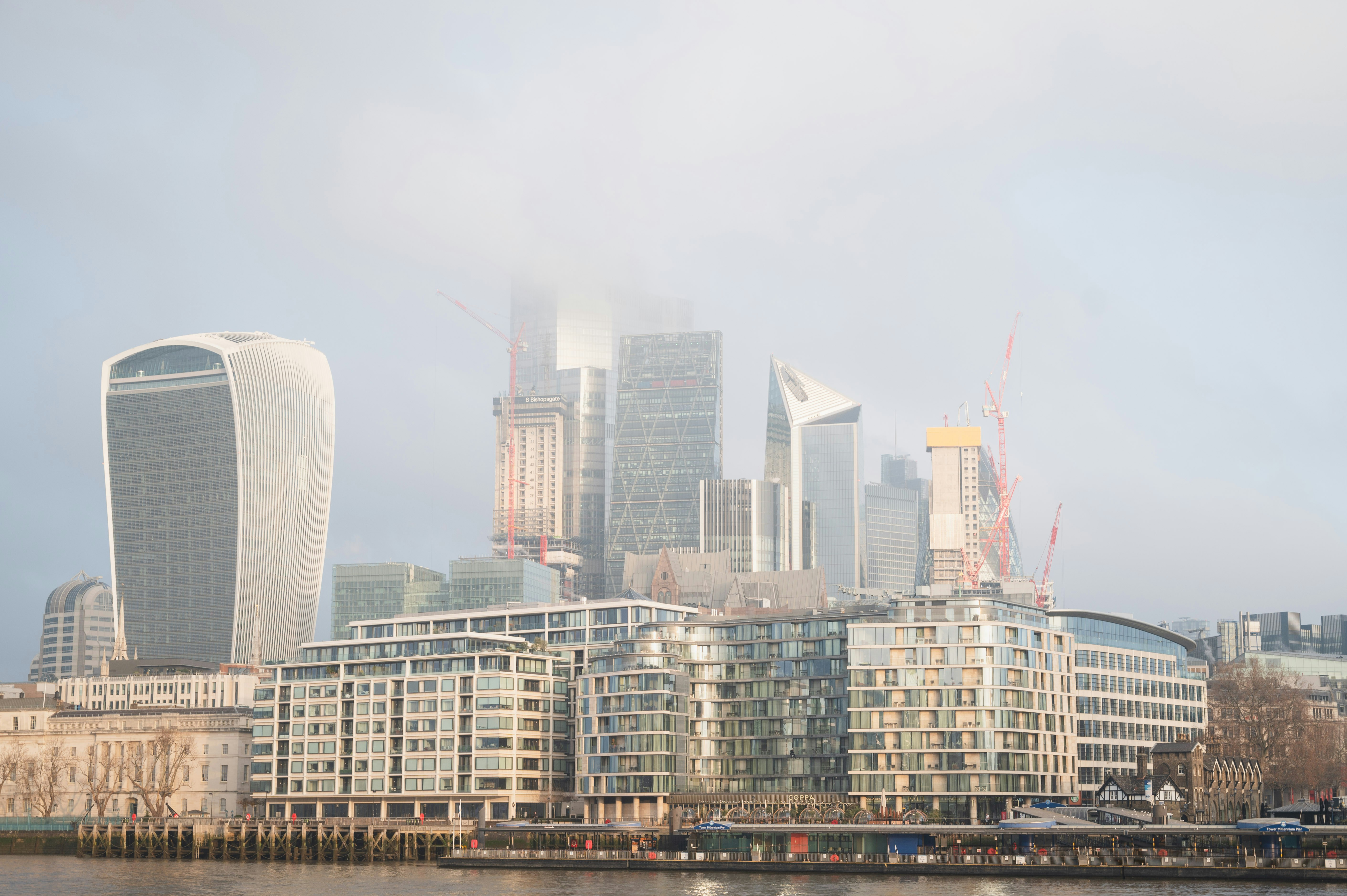 Photo by sandratansh