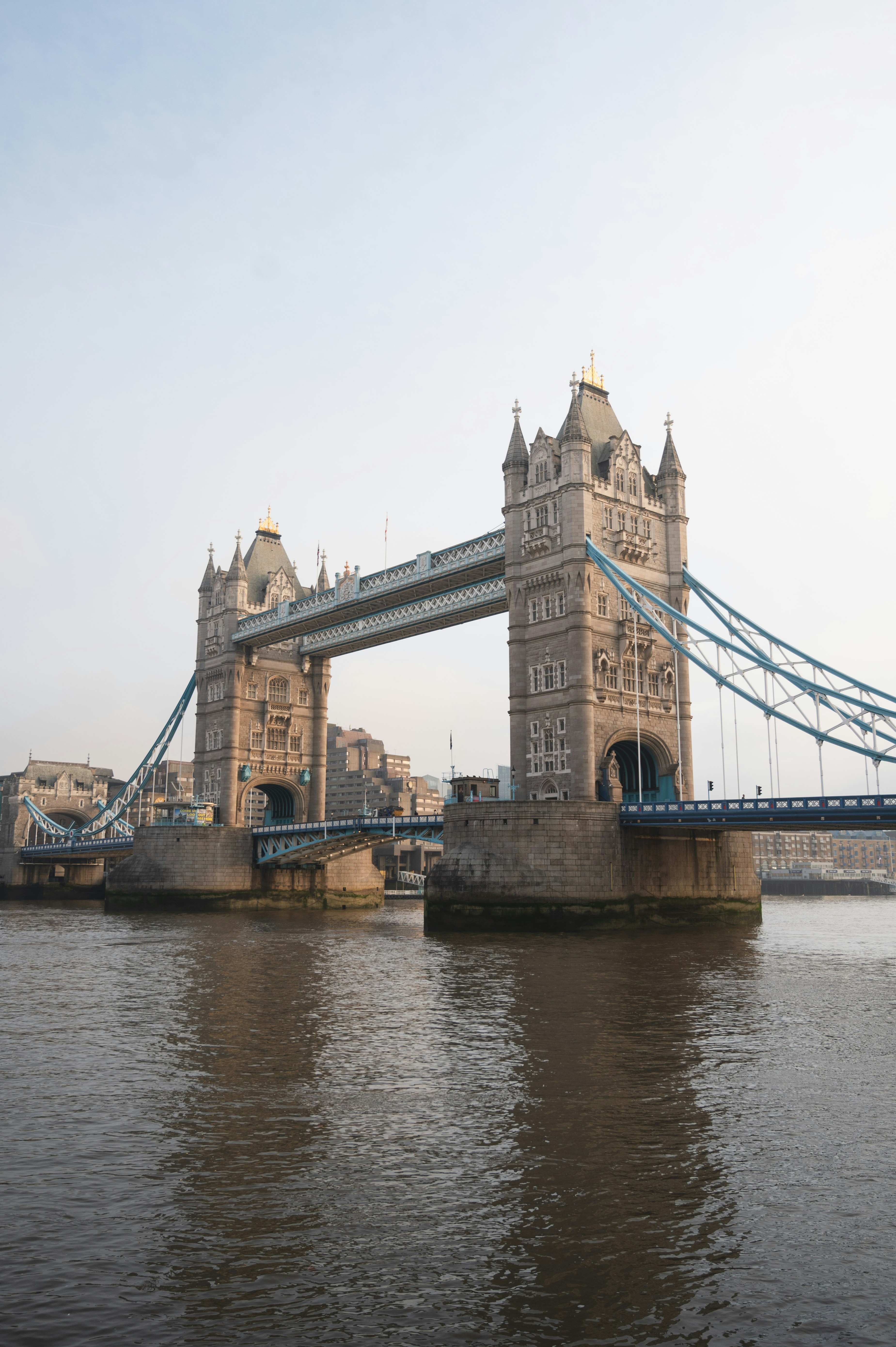 Photo by sandratansh