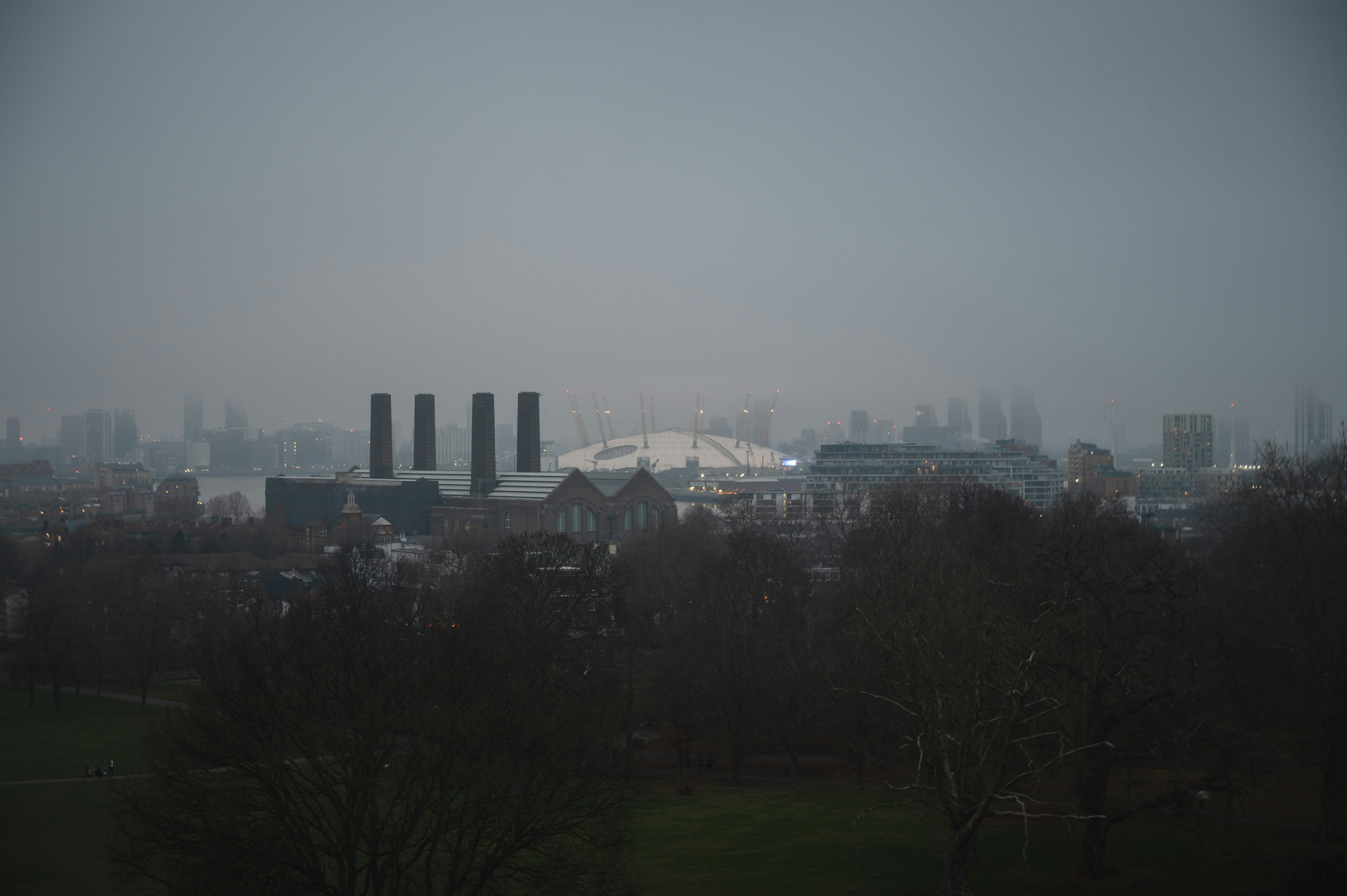 Photo by sandratansh