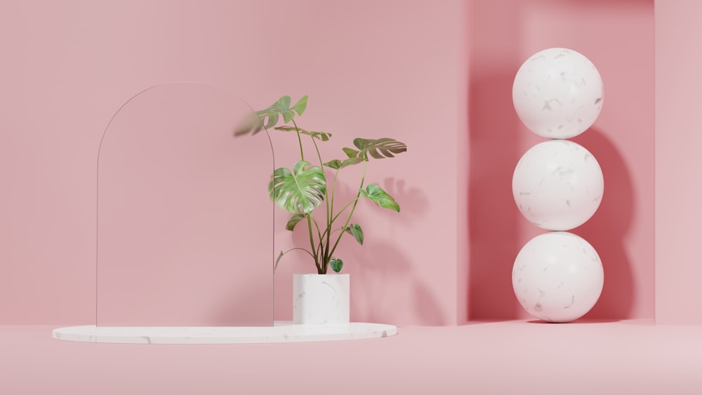 a pink room with a plant in a white vase