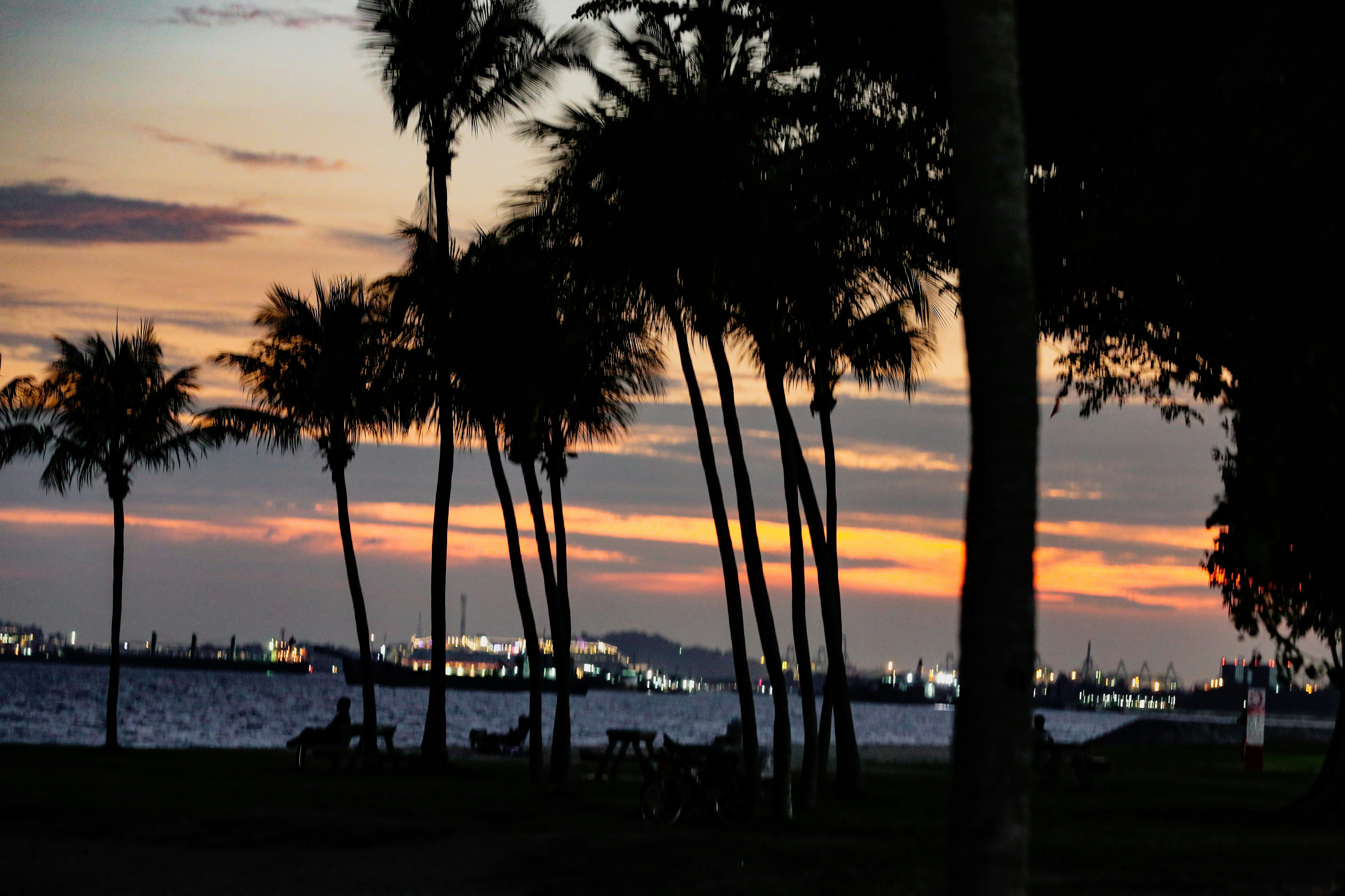 Photo by kapoorparas28