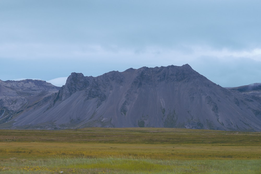 a field with a mountain in the background