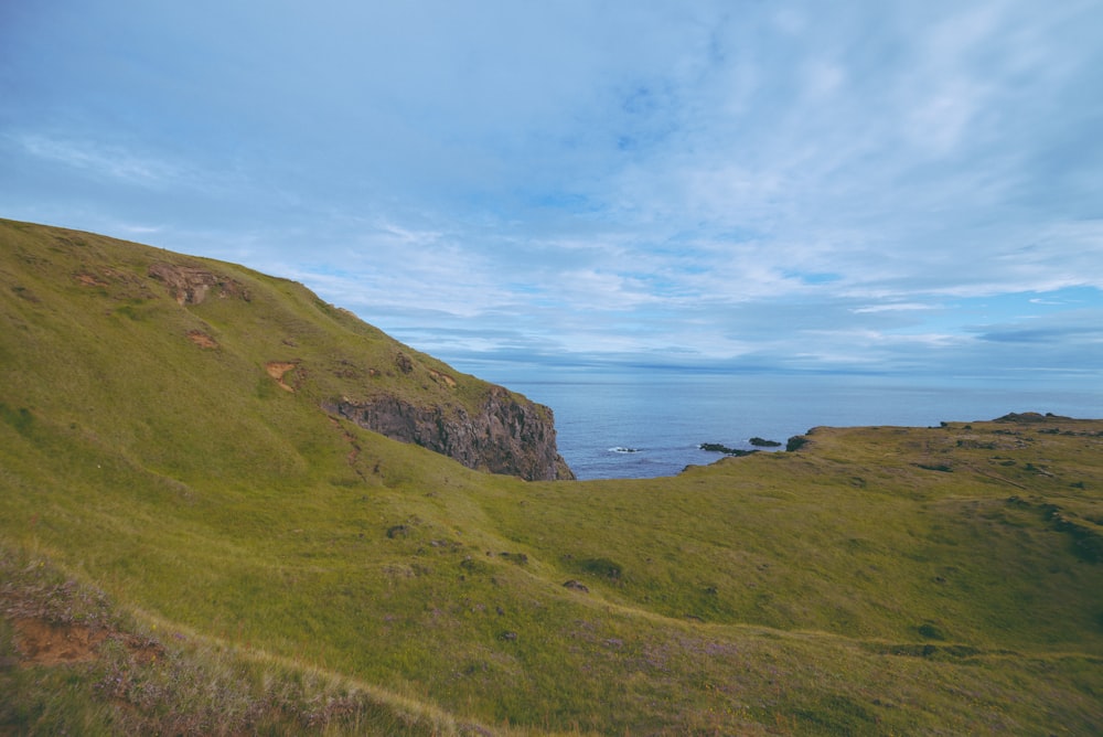 a herd of sheep standing on top of a lush green hillside