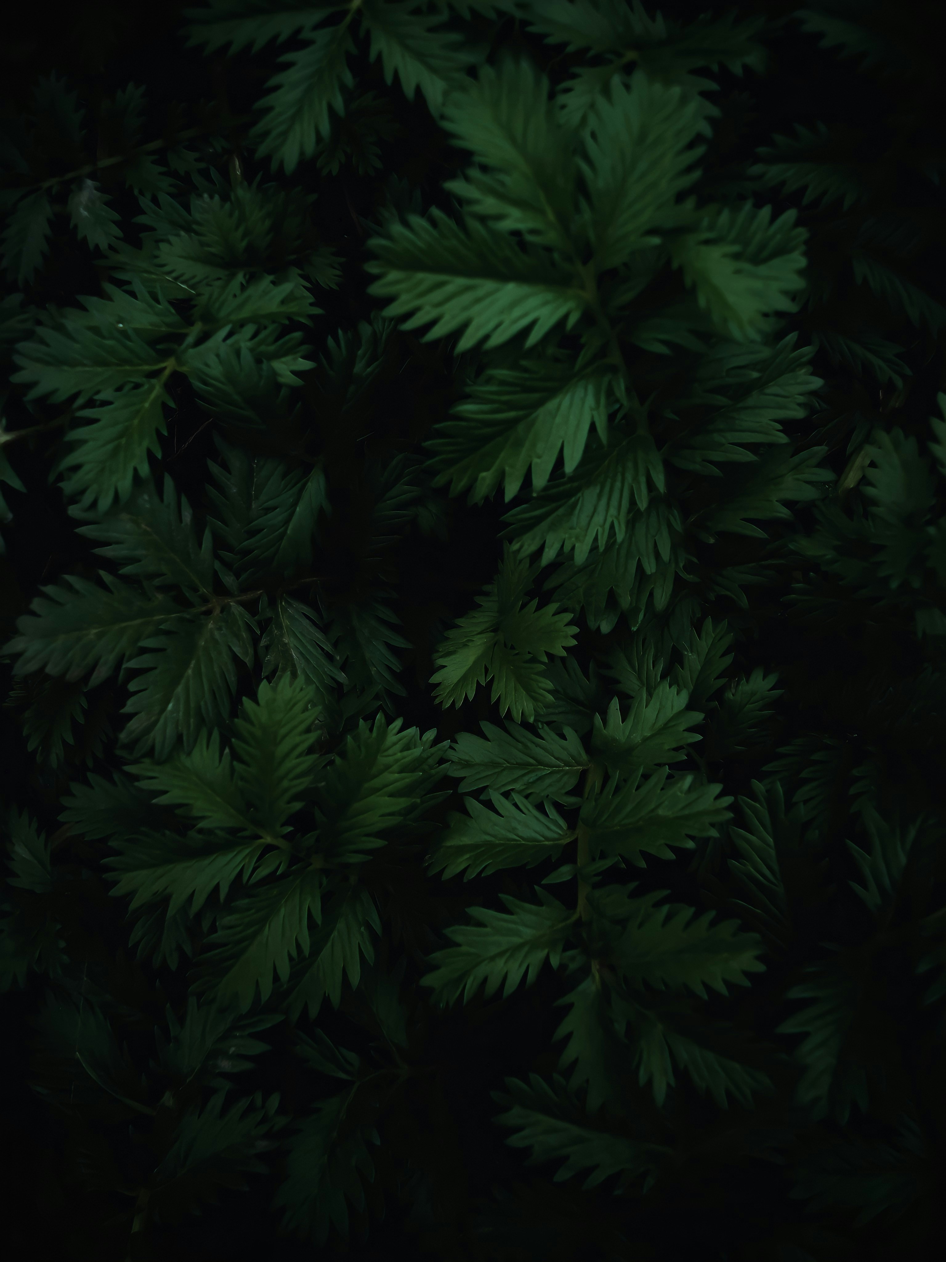 Photo by eugene_golovesov