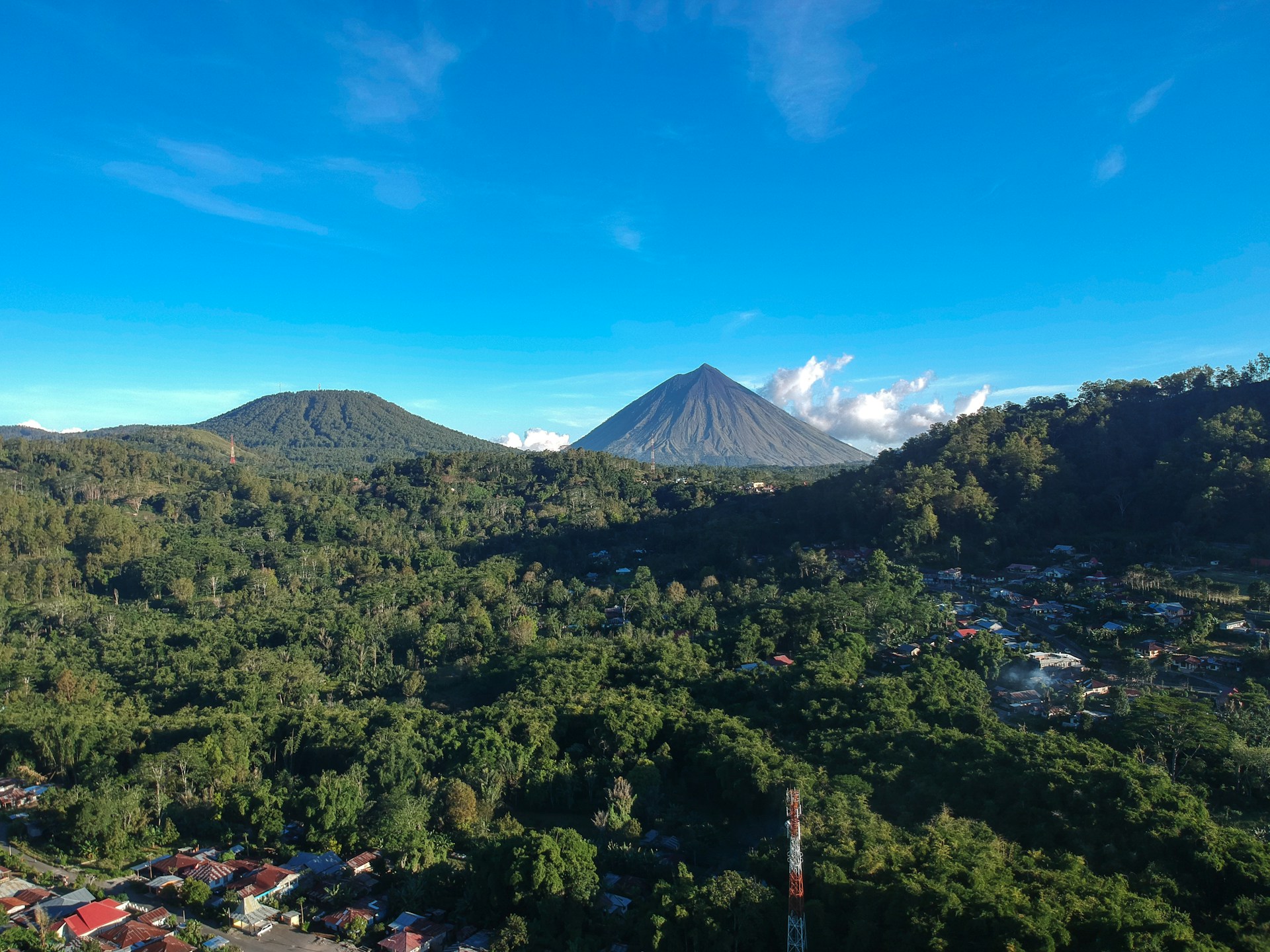 an aerial view of a forested area with a mountain in the background