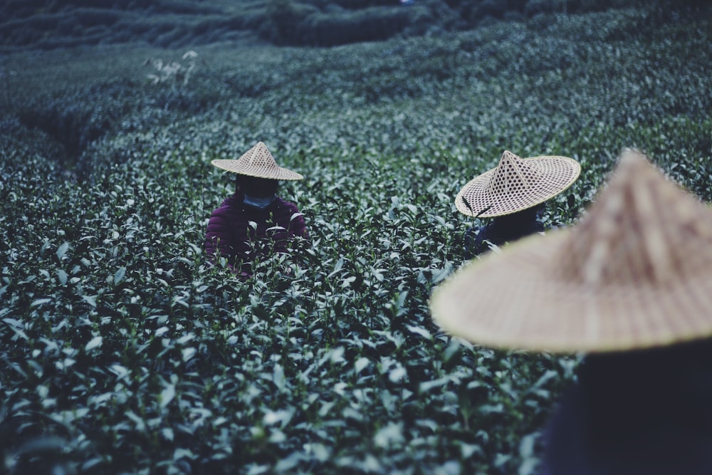 a group of people in a field with hats