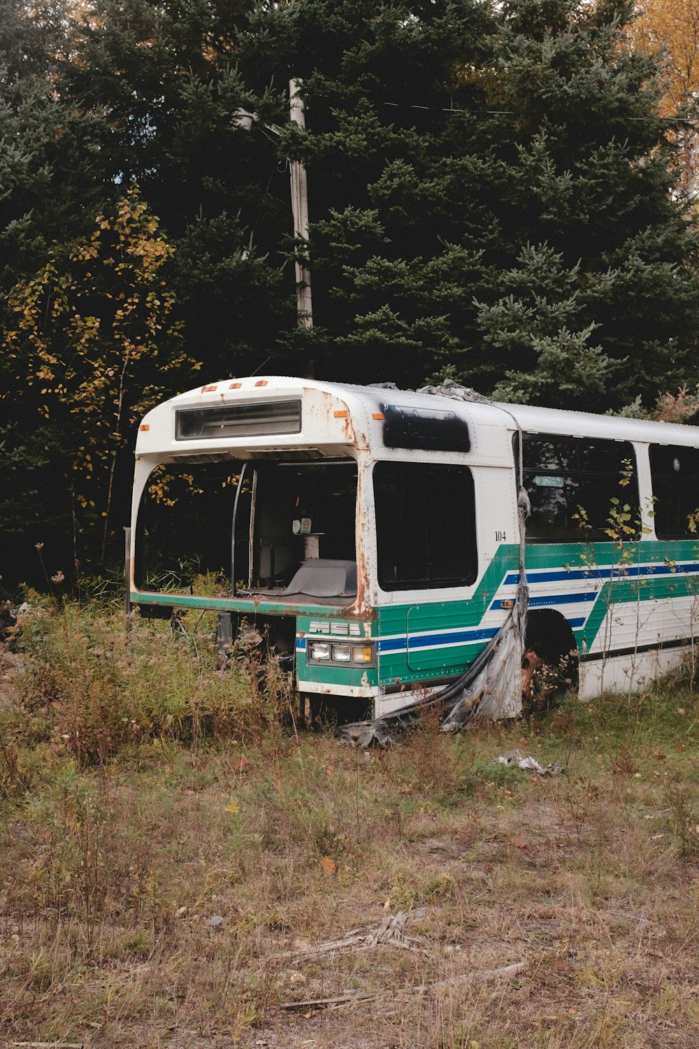 a bus that is sitting in the grass