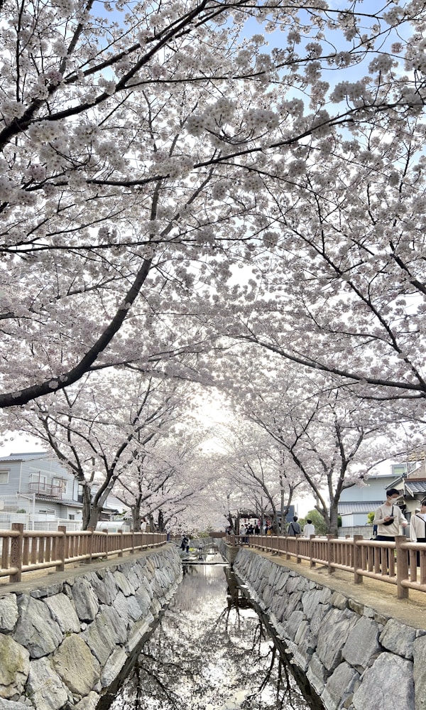 Best Times to Visit Takamatsu: Weather Guide & Seasonal Highlights