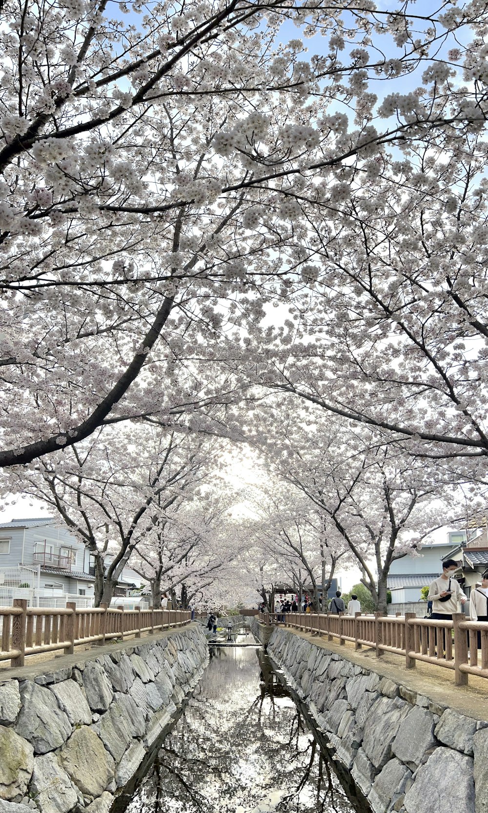 a bridge that has a bunch of flowers on it