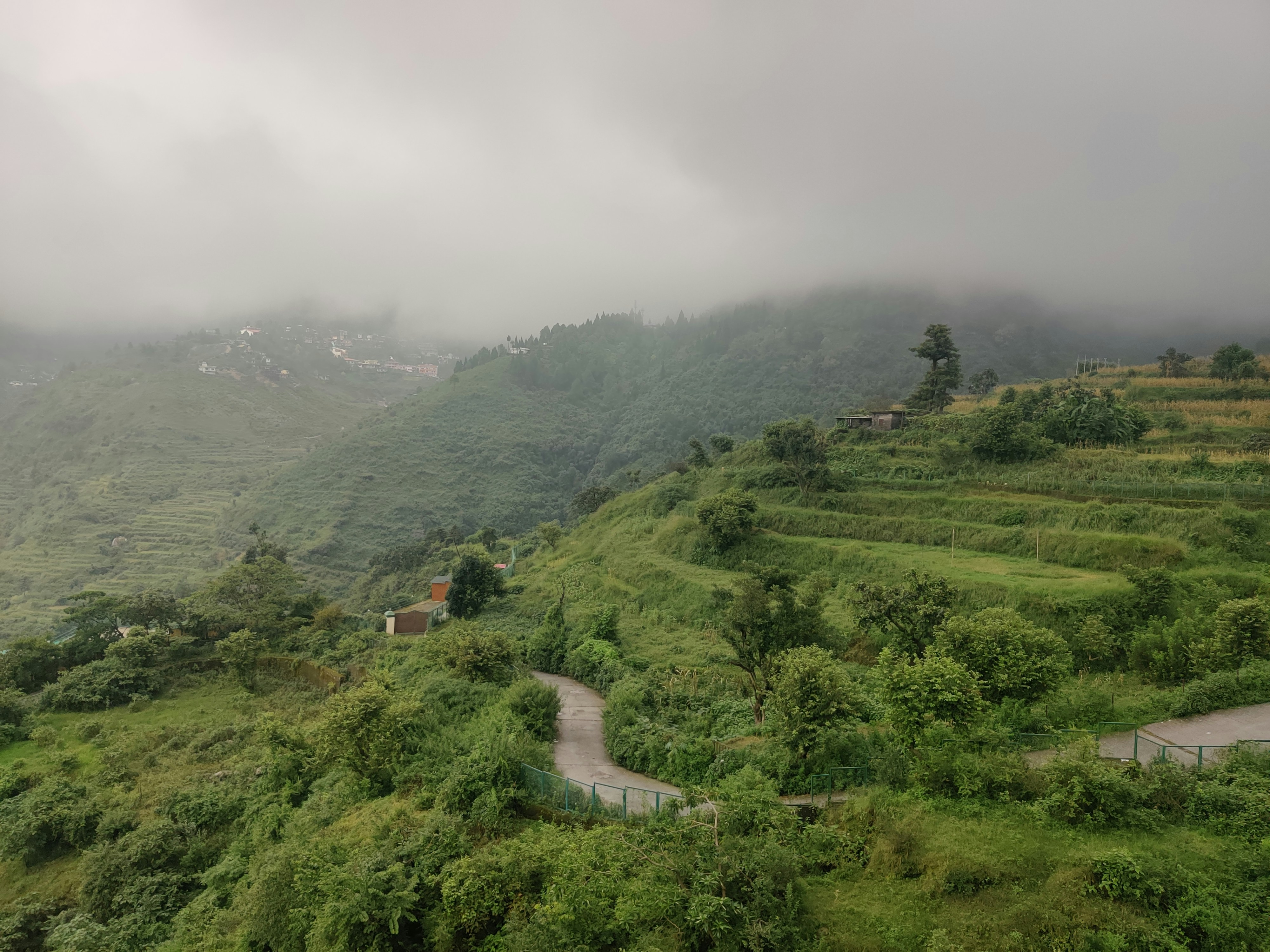 Photo by shivang_4300