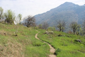A serene landscape with a winding path through lush greenery.