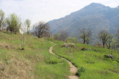 A serene landscape with a winding path through lush greenery.